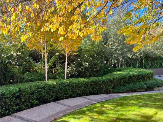 Arrowtown landscaping business, Kate Campbell Gardens won a New Zealand Landscape of Distinction Award for her work maintaining The Elms, Lake Hayes Residences landscape, which was designed by Suzanne Turley